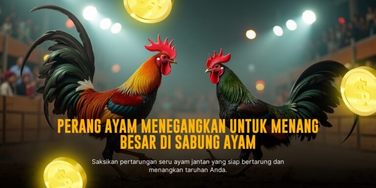 Mengenal Jenis Ayam Aduan dan Odds di SV388 Sabung Ayam