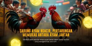 Mengupas Jenis Ayam Aduan di Sabung Ayam SV388 yang Perlu Kamu Tahu