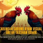 Mengenal Ayam Bangkok SV388: Raja Sabung Ayam Online