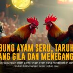 Mengenal Sabung Ayam SV388: Jenis Ayam Aduan dan Oddsnya