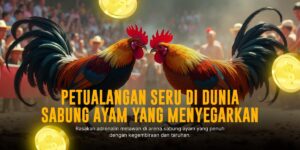 Mengenal Jenis-Jenis Ayam Aduan dalam Sabung Ayam SV388